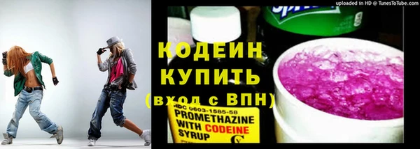 трава Няндома