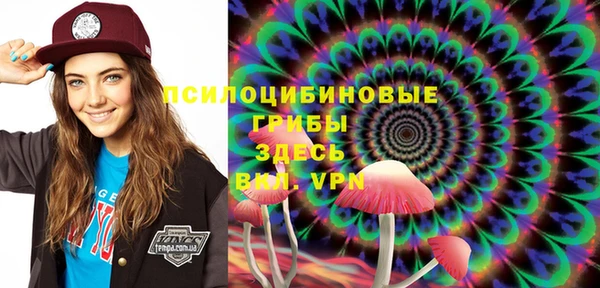 крисы Гатчина