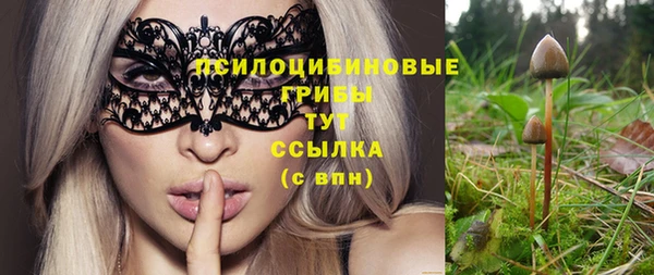 a pvp Нягань