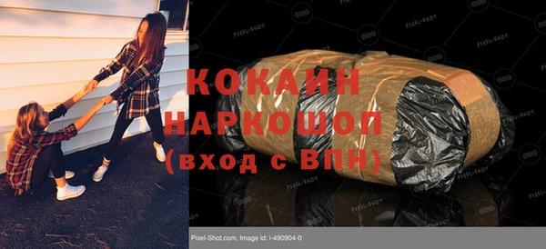 крисы Гатчина